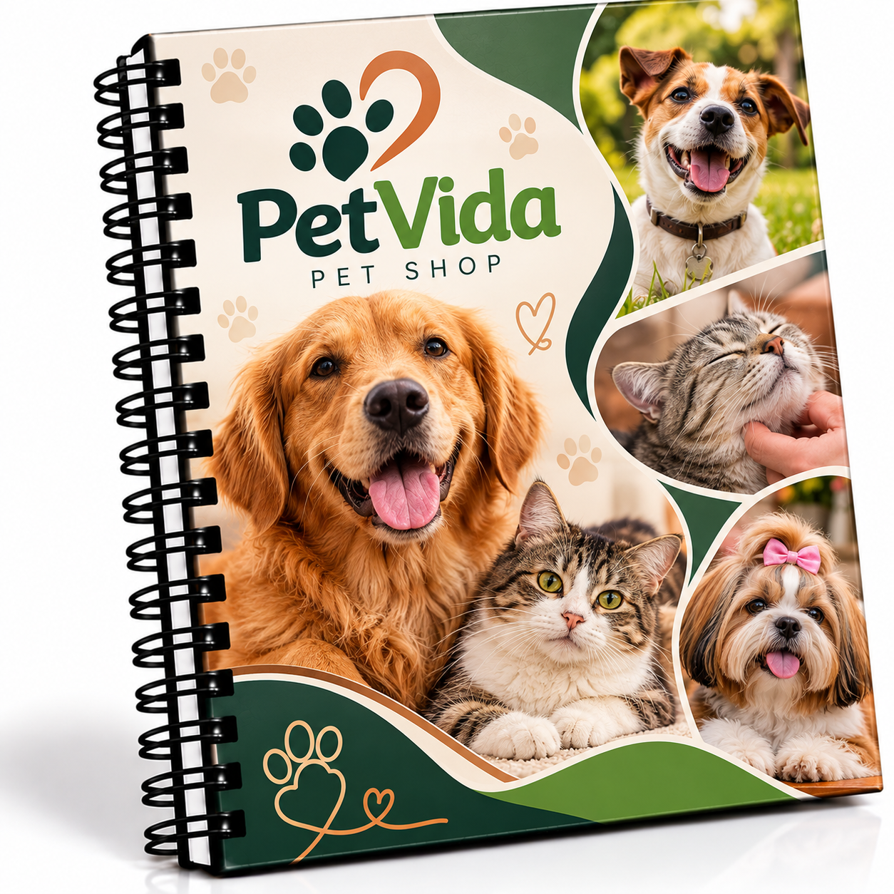 Caderno_11